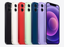 iPhone 12 - (SEMI NOVO)